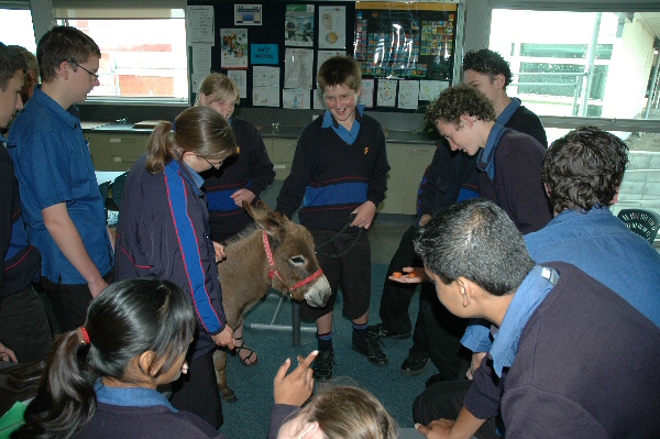 Clovercrest Miss Maisie the centre of attention in the classroom.